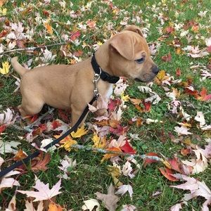 Meet your Posher, Sandy